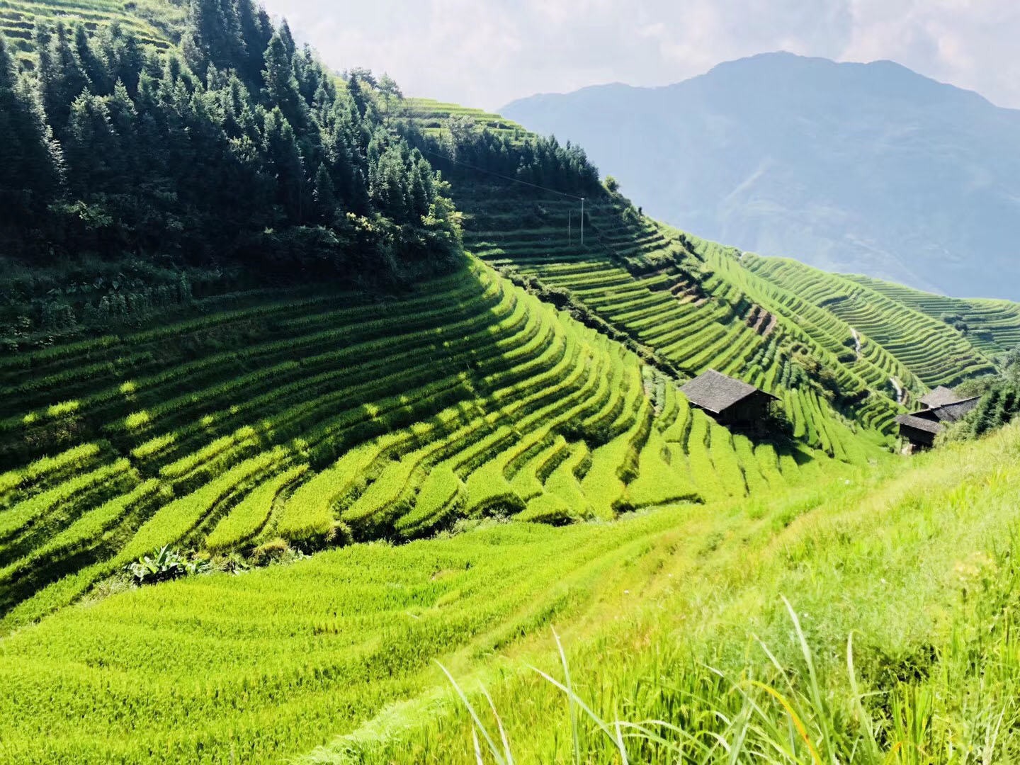 龙脊梯田美景